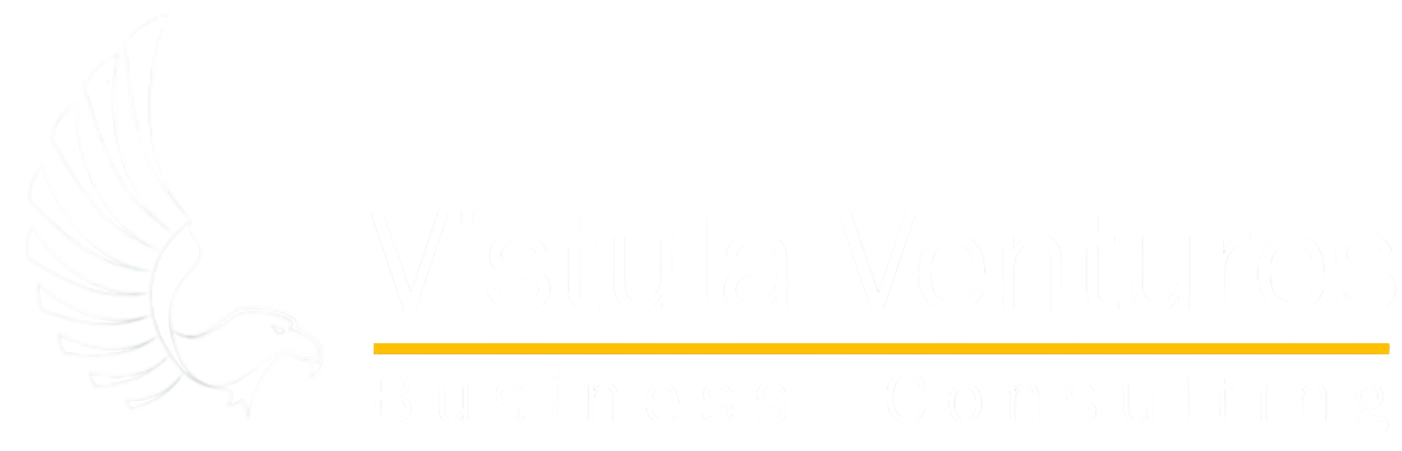 Vistula Ventures – Business Consulting